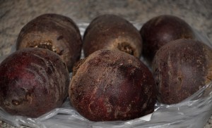 vuohenjuusto-punajuuri (1)