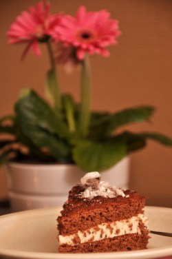 ystävänpäivä (4)